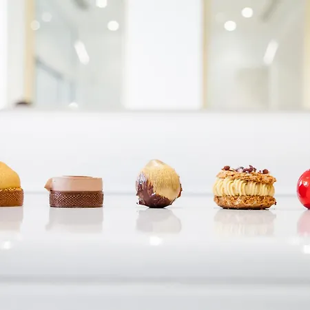 Le Meurice - Dorchester Collection فندق